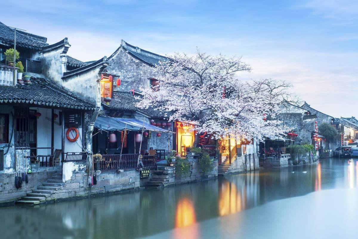 拯救机智男孩